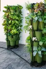 Greenstalk Spring Watering System Full