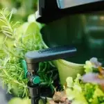 Greenstalk Spring Watering System