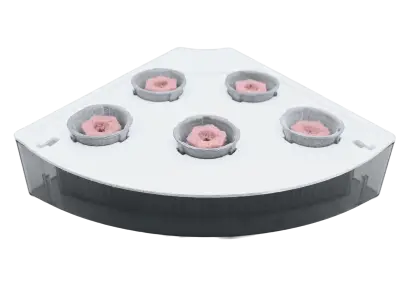 Aquatree | Natural Yield Aquatree - Garden-Lid1