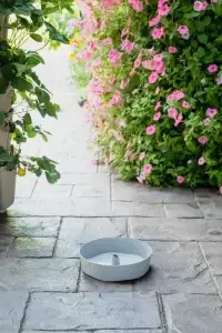 GreenStalk Individual Grey Watering Disk