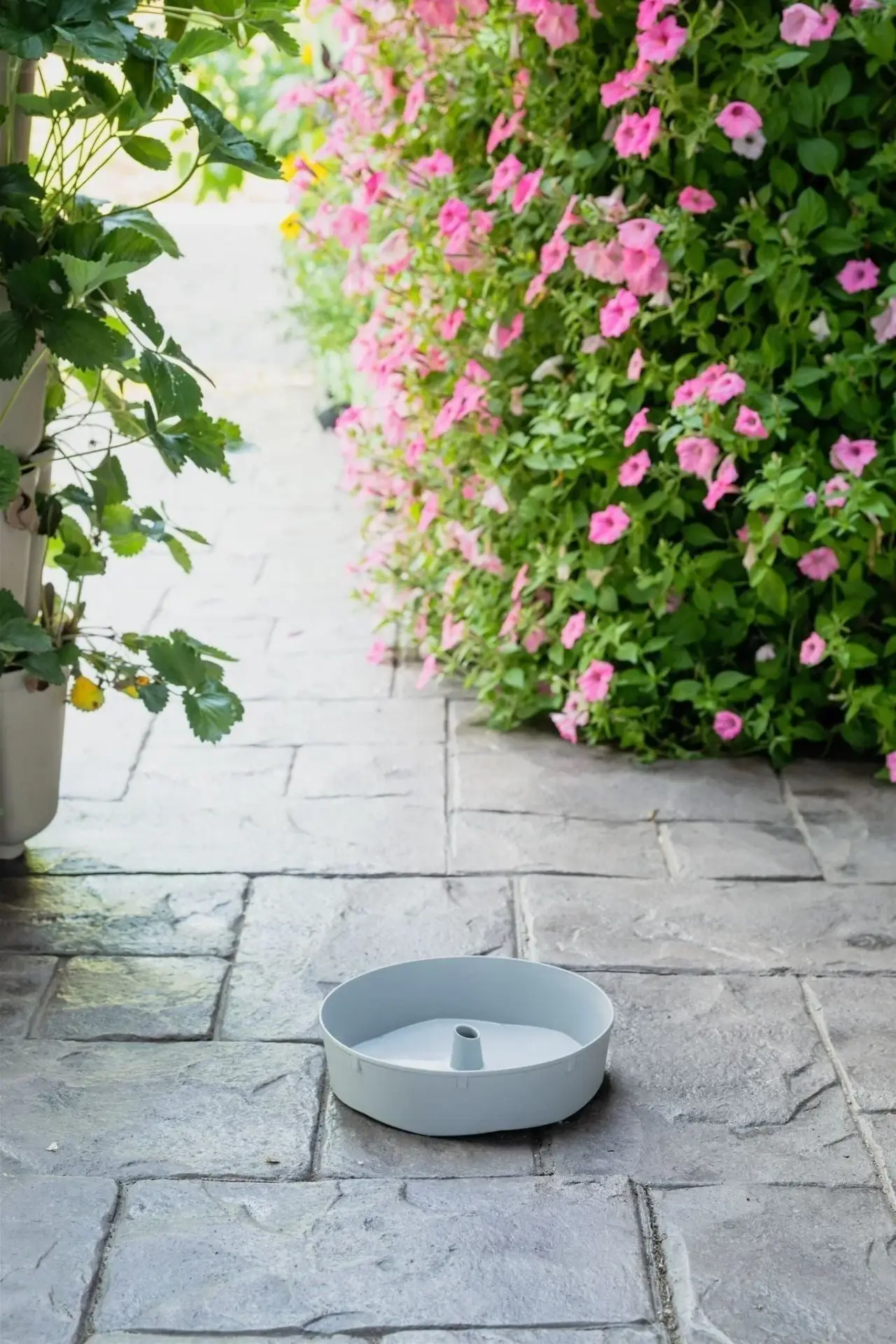 Greenstalk Individual Grey Watering Disk Greenstalk Individual Grey Watering Disk