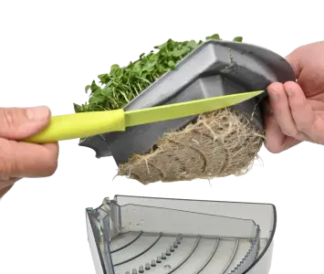 Aquatree | Natural Yield Aquatree - Crop