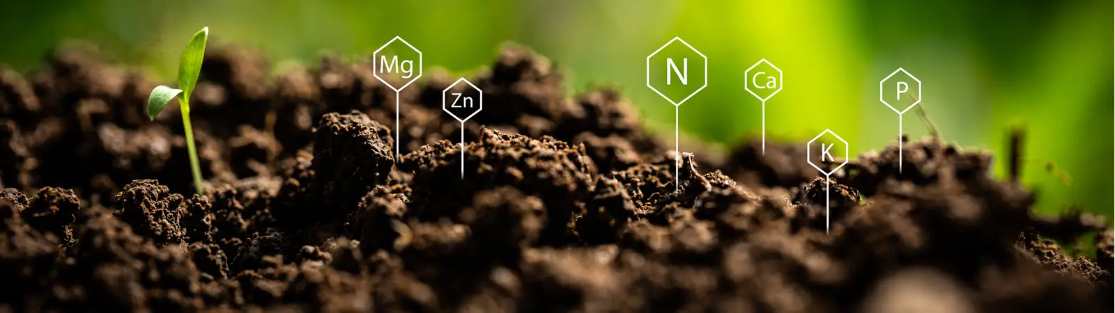 Grow Media &Amp; Substrates