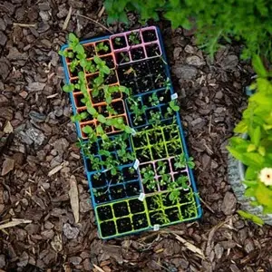 Bootstrap Farmer Cell Inserts | Natural Yield Bootstrap Farmer Cell Inserts Potted Above