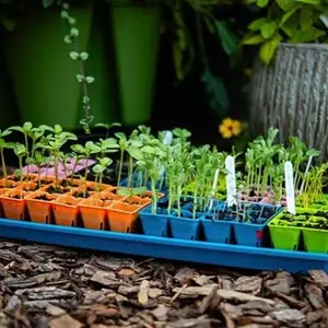 Bootstrap Farmer Cell Inserts | Natural Yield Bootstrap Farmer Cell Inserts Potted