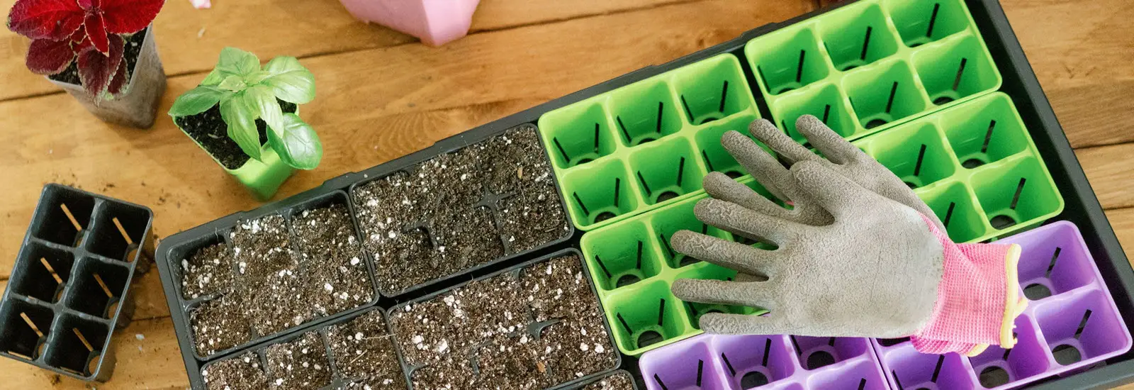 Bootstrap Farmer Cell Inserts