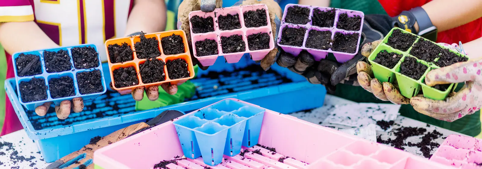 Durable Bootstrap Farmer 1020 Seed Trays For Propagation