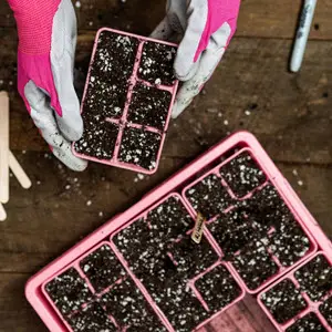 Bootstrap Farmer Cell Inserts | Natural Yield Bootstrap Farmer Cell Inserts Filled Above