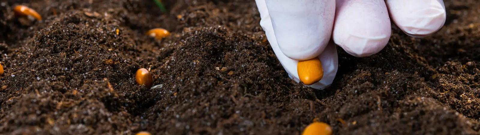 1020 Seed Starting Trays