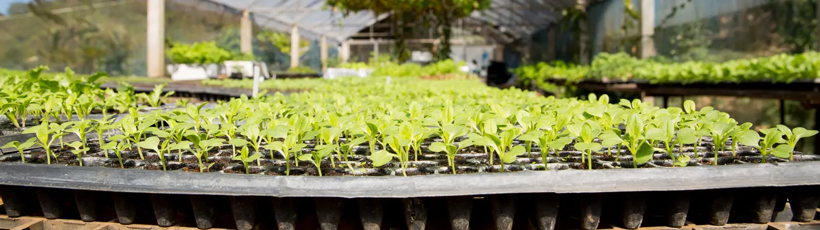 Natural Yield Services