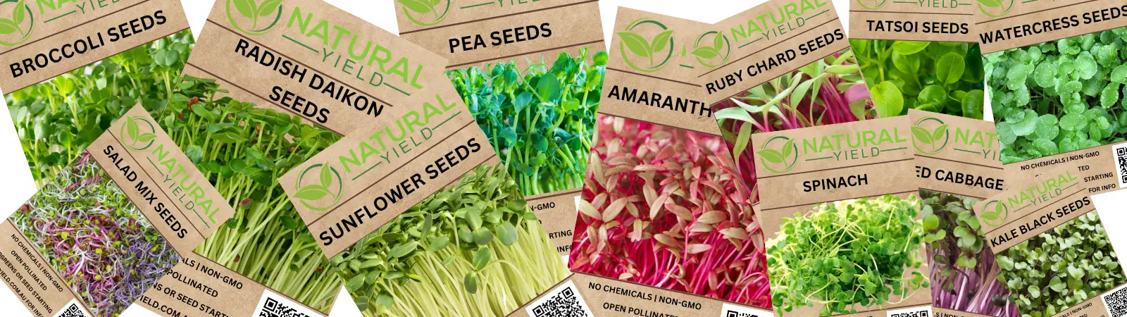 Microgreen Seeds