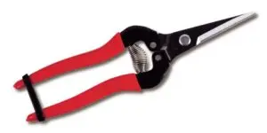 Ars Long Nose Flower Snip Ars Long Nose Flower Snip