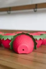 GreenStalk Berry Cup Bench 1