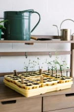 GreenStalk Seed Starter Kit with Domes Lemon 1