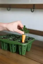 GreenStalk Carrot Cap Place