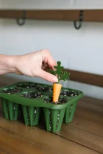 GreenStalk Carrot Cap Place