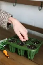 GreenStalk Carrot Cap Plant