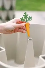 GreenStalk Carrot Cap - Set of 4 - Image 7