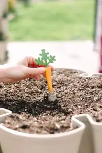 GreenStalk Carrot Cap