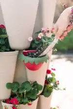 GreenStalk Berry Cup Stunning Stone