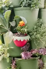 GreenStalk Berry Cup Evergreen