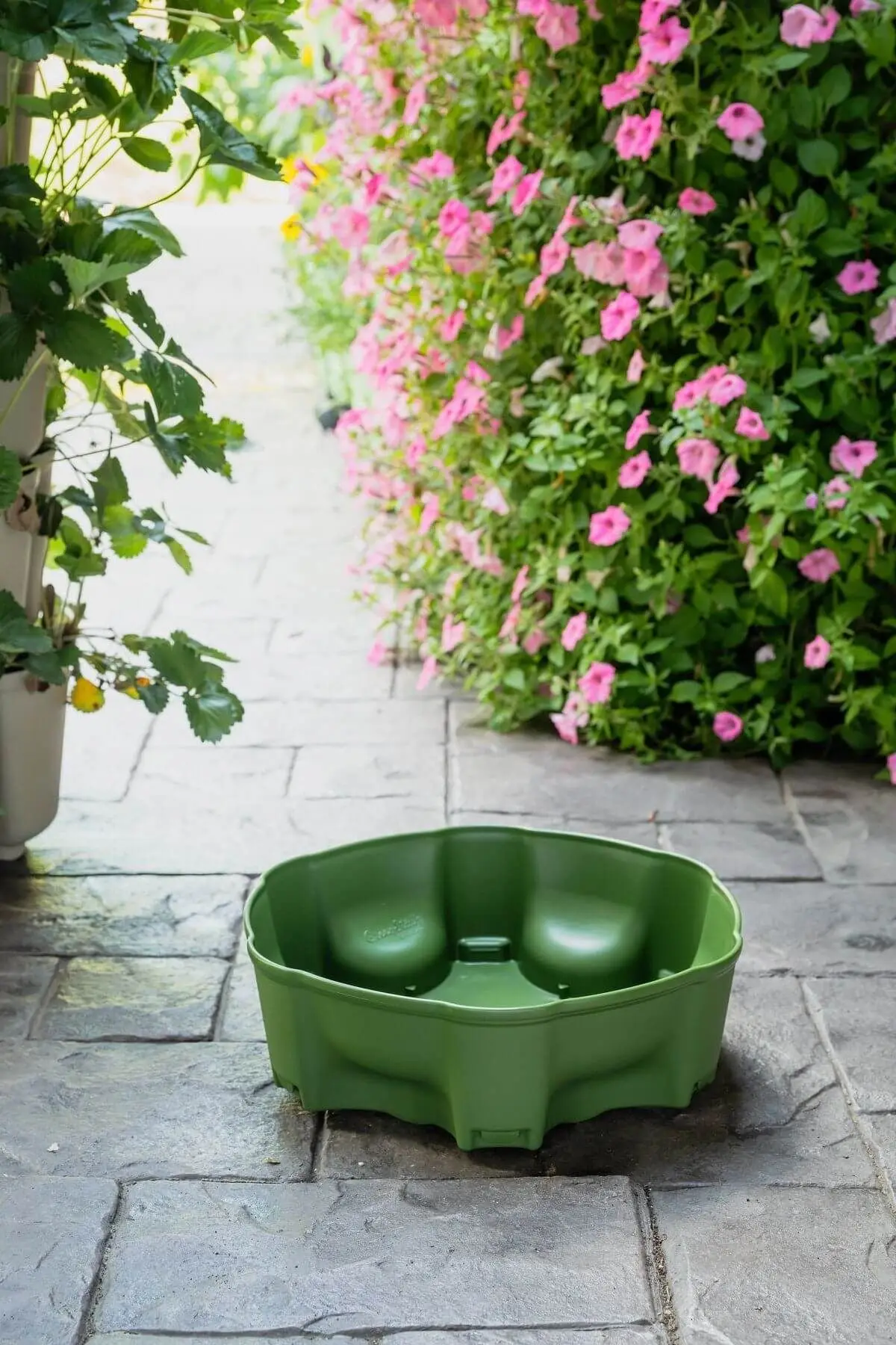 Greenstalk Top Water Reservoir Basic Evergreen Greenstalk Top Water Reservoir Basic Evergreen