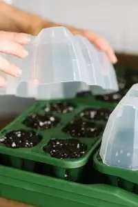 GreenStalk Seed Starter Kit with Domes