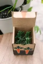 GreenStalk Carrot Cap Box 2