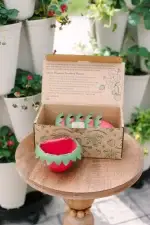 GreenStalk Berry Cup Stunning Box