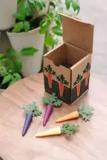 GreenStalk Carrot Cap Box