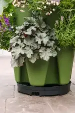 GreenStalk Spinner Base Only 5