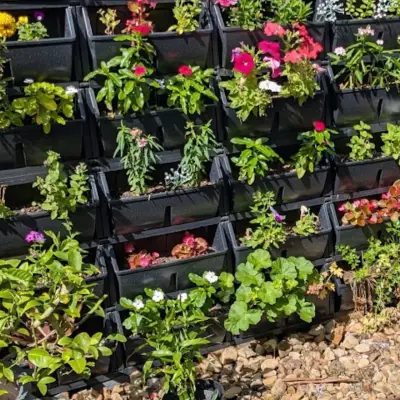 Grow Wall