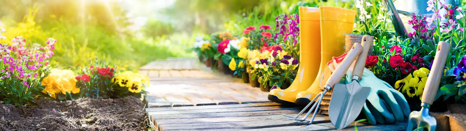 Garden Tools
