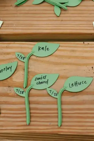 Greenstalk Sprout Markers 1 Greenstalk Sprout Markers 1