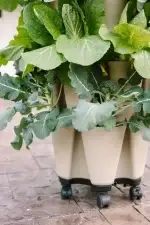 GreenStalk Mover 4
