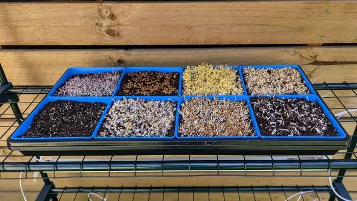 Microgreen Kit
