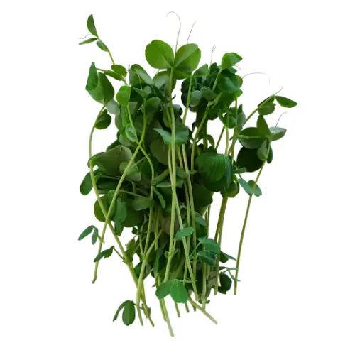 Peas | Natural Yield