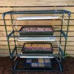 microgreen kit