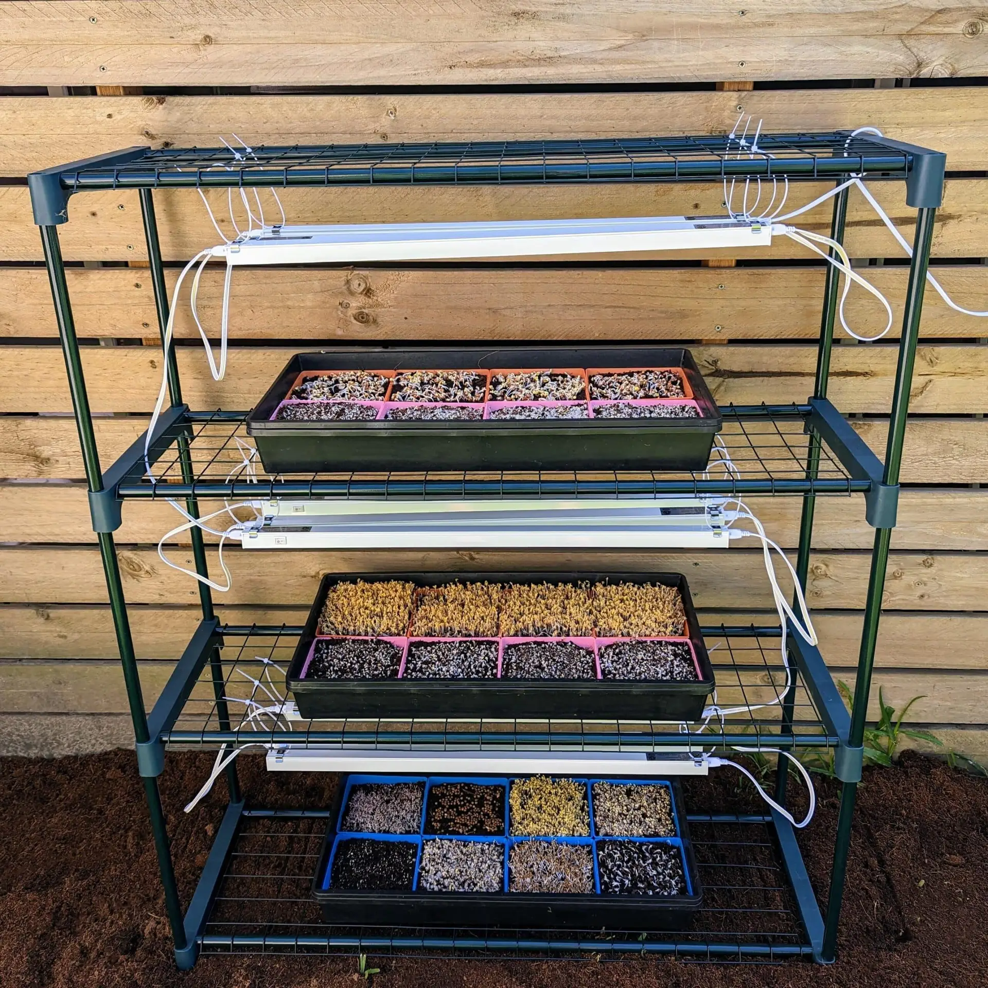 Microgreen Kit Microgreen Kit