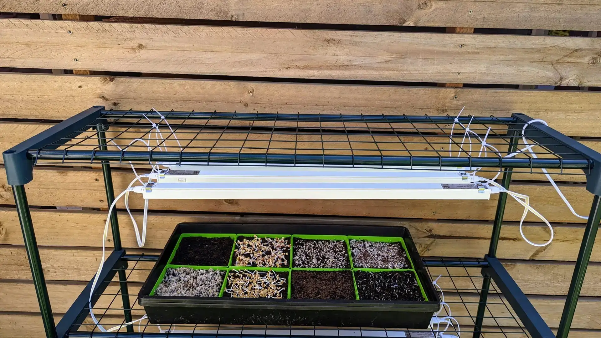 Microgreen Kit Microgreen Kit