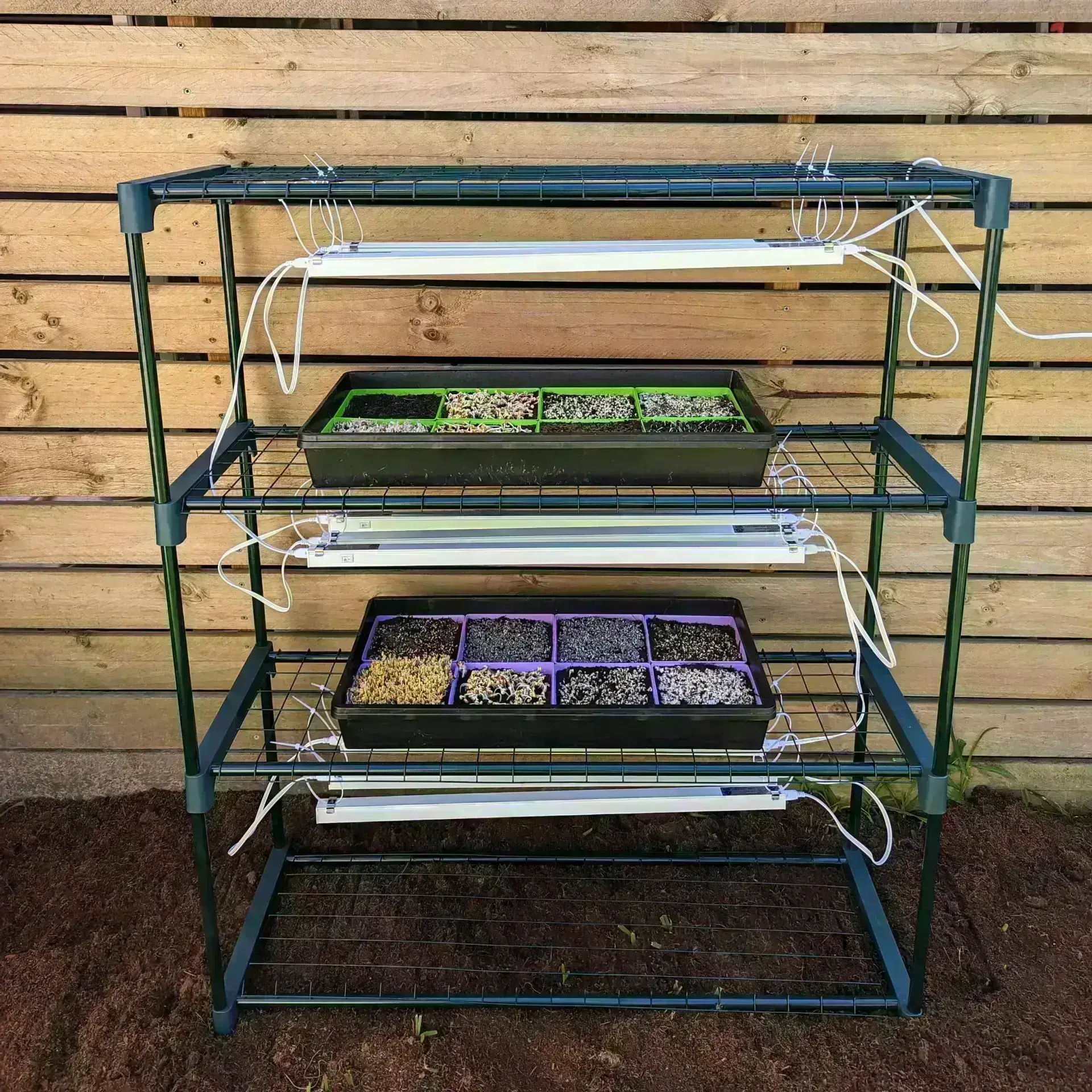 Microgreen Kit Microgreen Kit