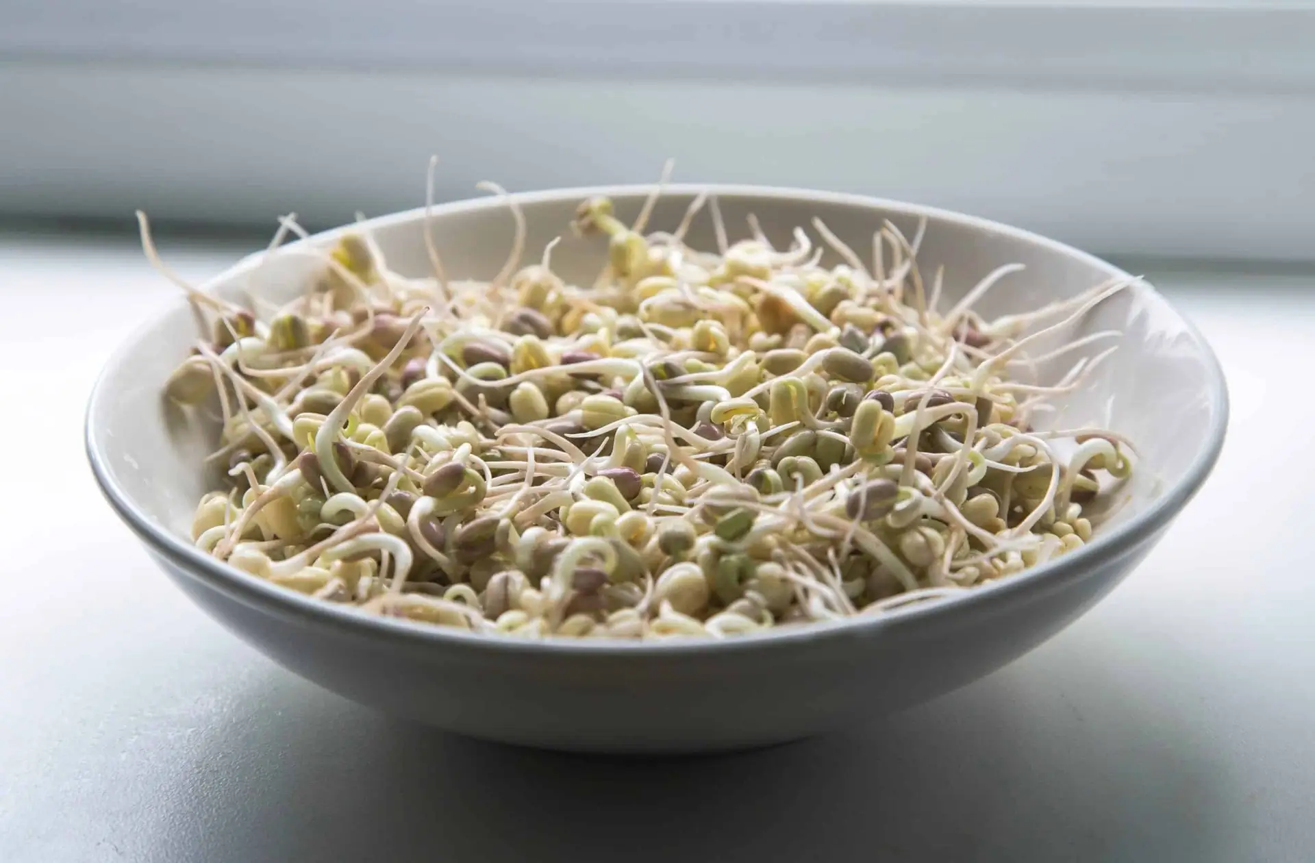 Brisbane Sprouts, Buy Sprouts Brisbane, Fresh Sprouts Brisbane, Local Sprouts Brisbane, Grow Your Own Sprouts, Sprout Growing Kits Brisbane, Healthy Eating Brisbane, Vitamin Boost, Natural Yield