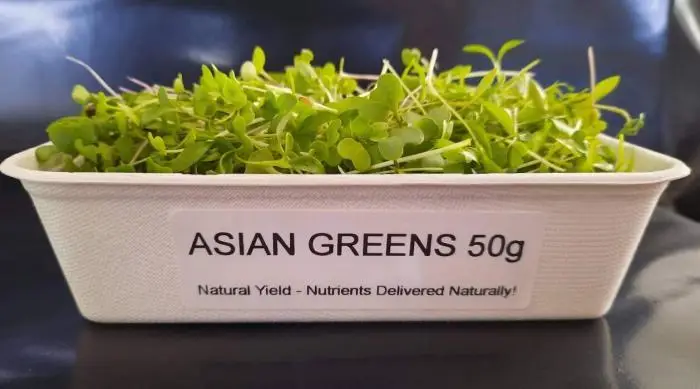 20220406 125615 1 | Natural Yield