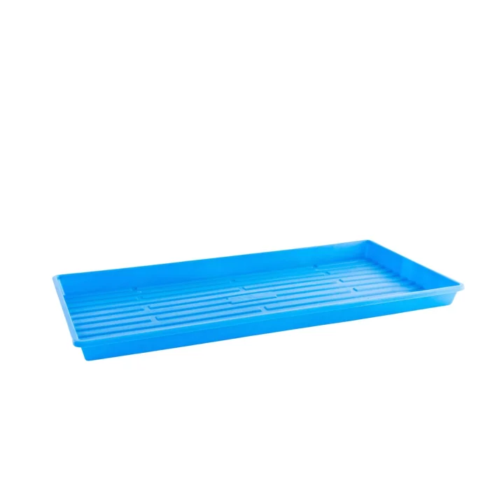 Blue Shallow No Holes