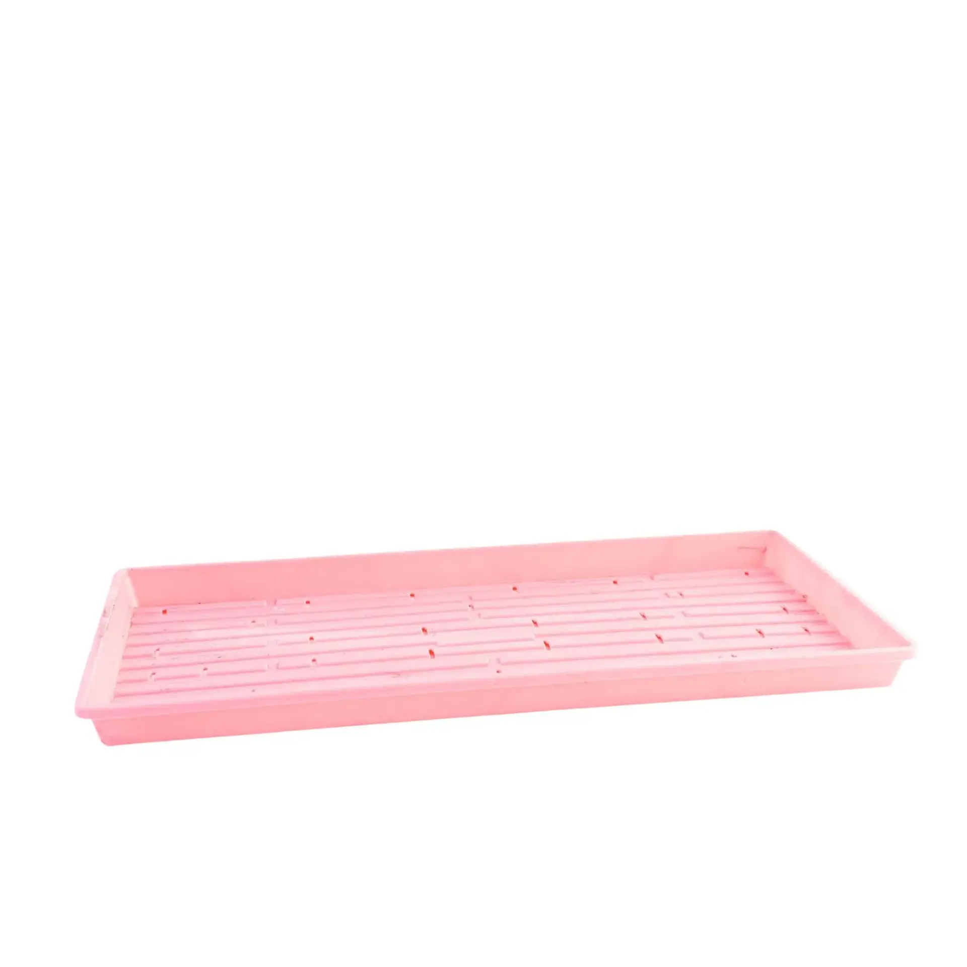 1020 Shallow With Holes Pink