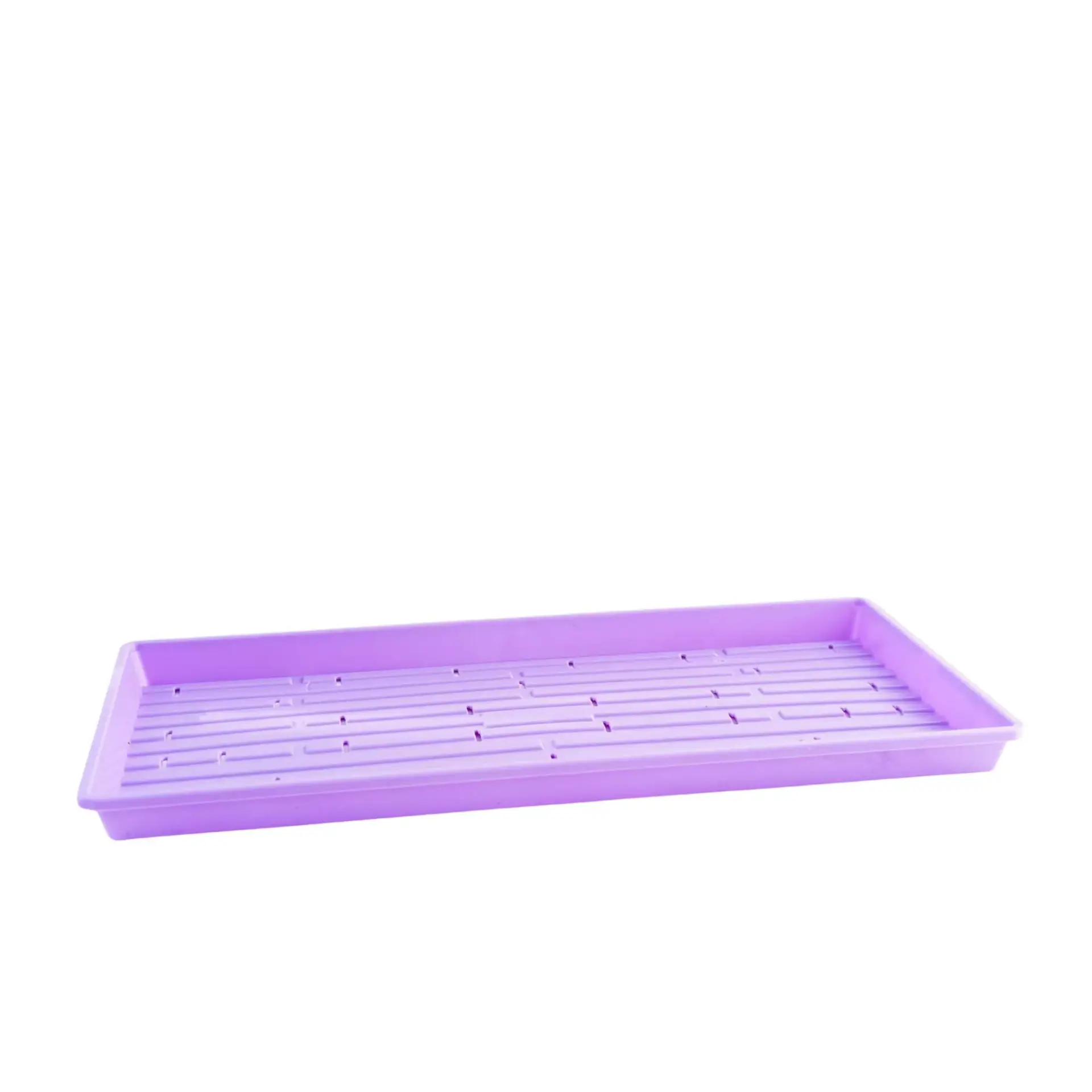1020 Shallow With Holes Purple