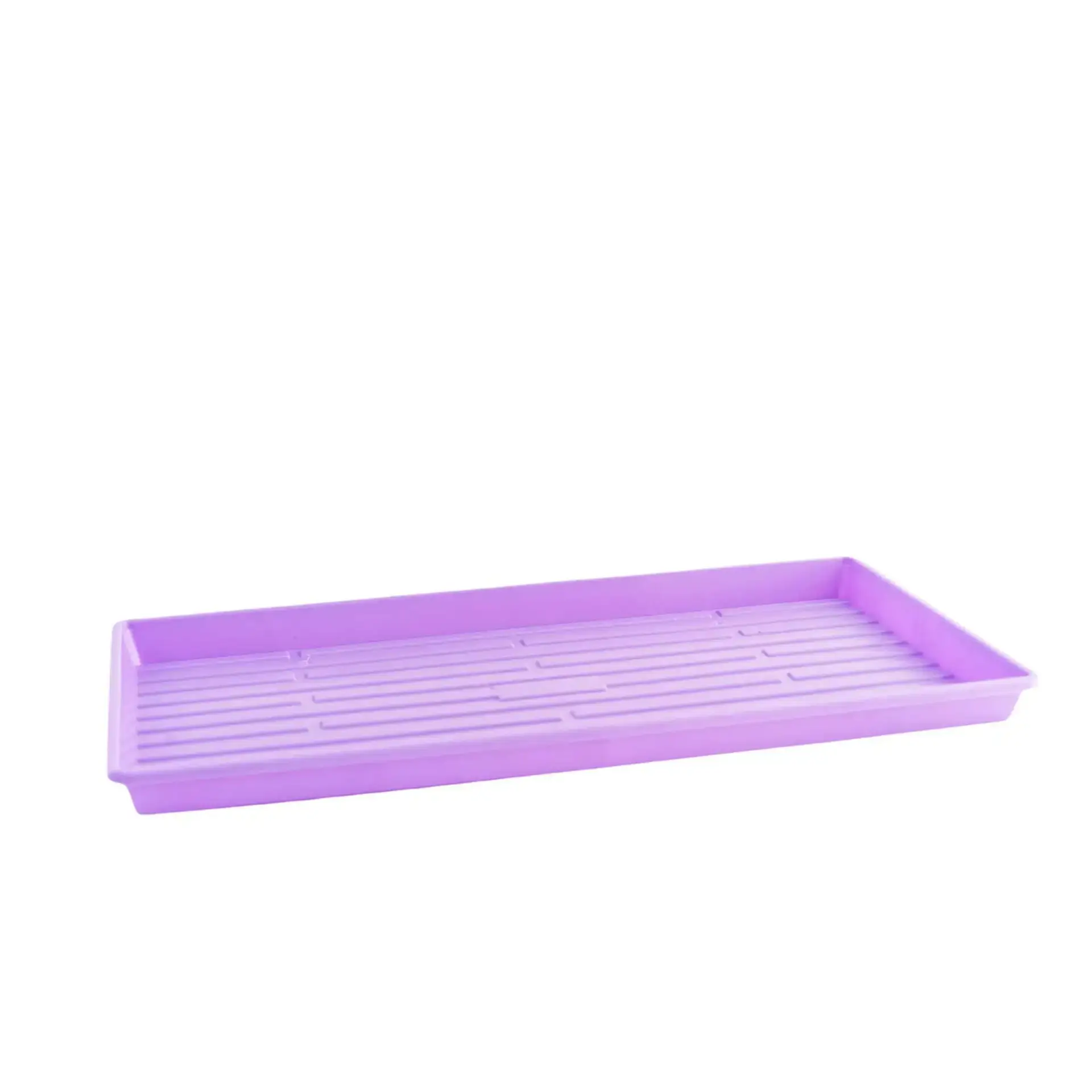 1020 Shallow No Holes Purple