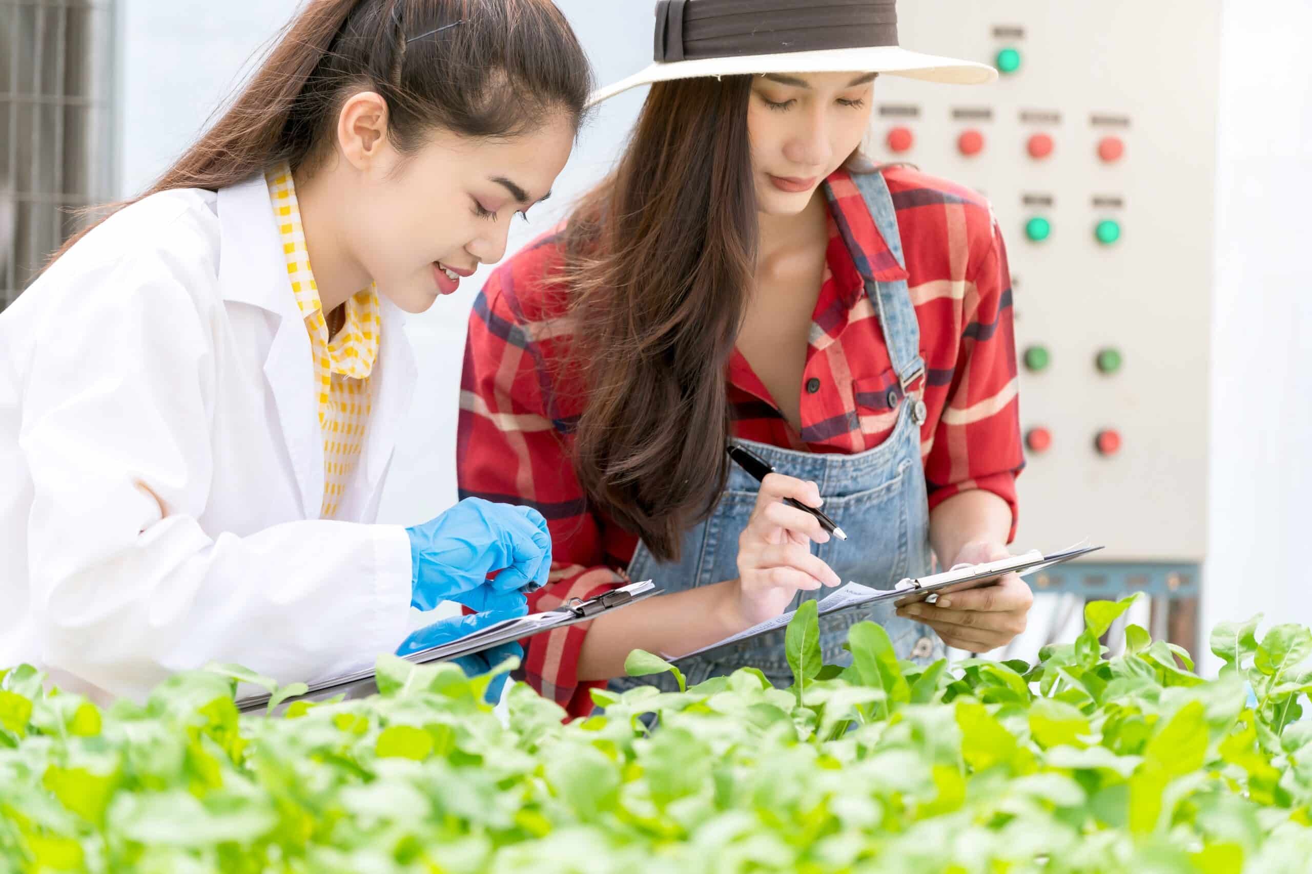 A Guide To Starting A Successful Microgreens Growing Business | Natural Yield Microgreens Business