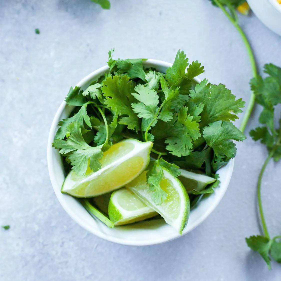 Coriander Microgreens - Image 2