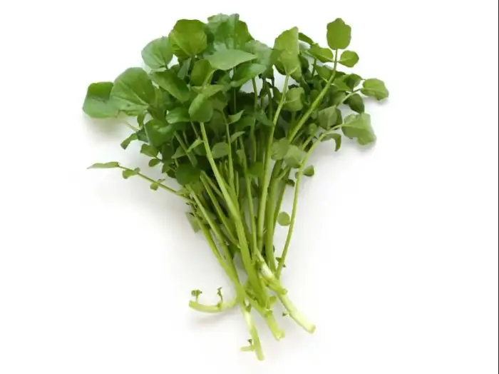 14Vq2W40 Vzvdcoad Watercress Microgreen Seeds 1 | Natural Yield